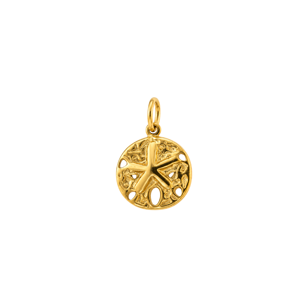 STARFISH RENEWAL Charm