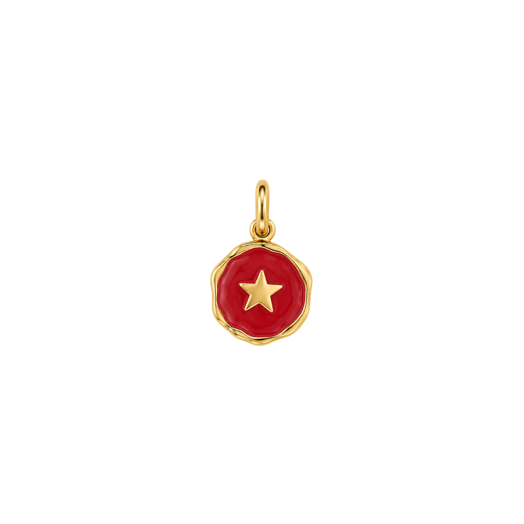 PINK STAR LOVE Charm
